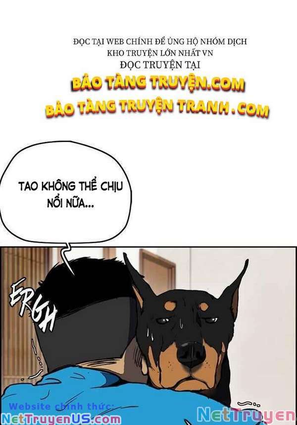 Wind Breaker Chapter 254 - TC Truyện